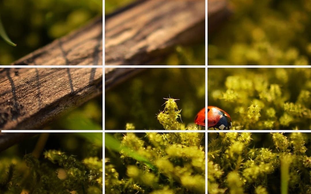 Regla de los tercios para técnicas de fotografía con móvil